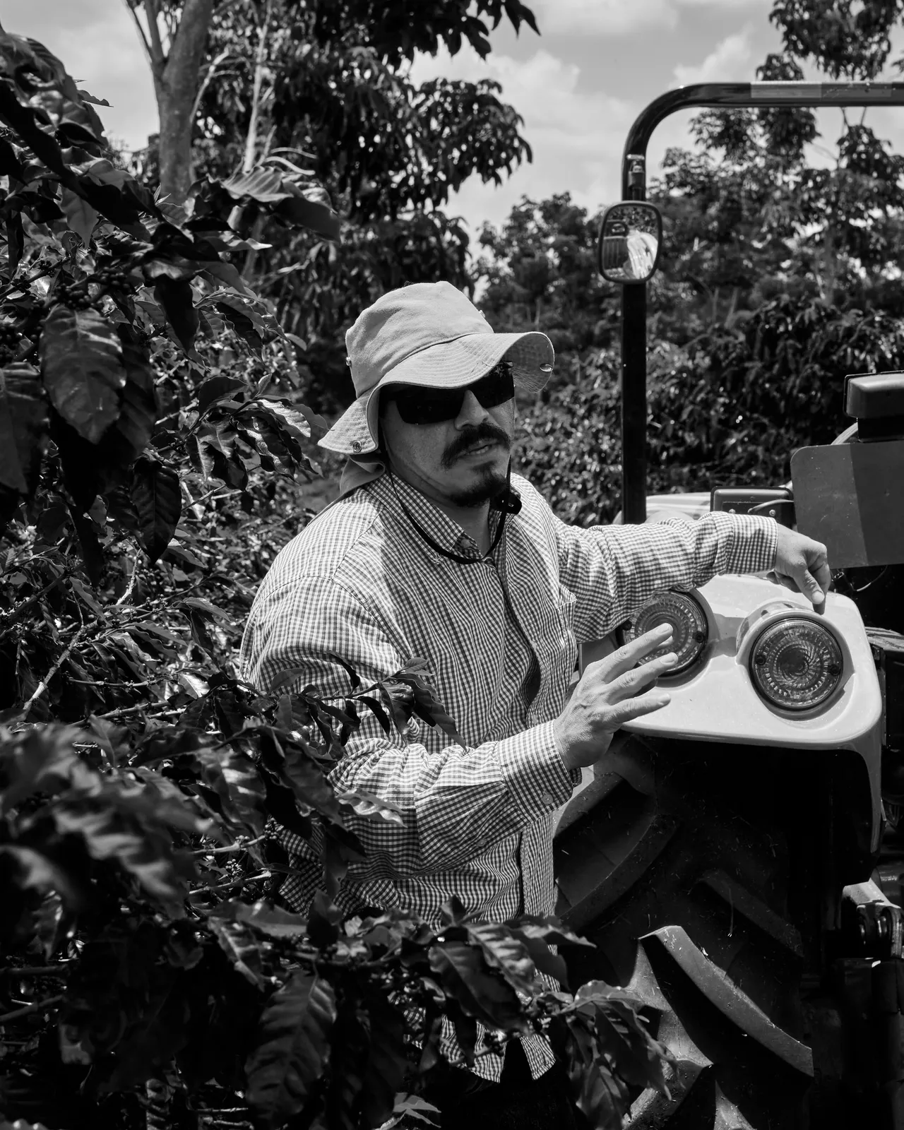 Coffee Republic — From Seed to Cup — frame 5