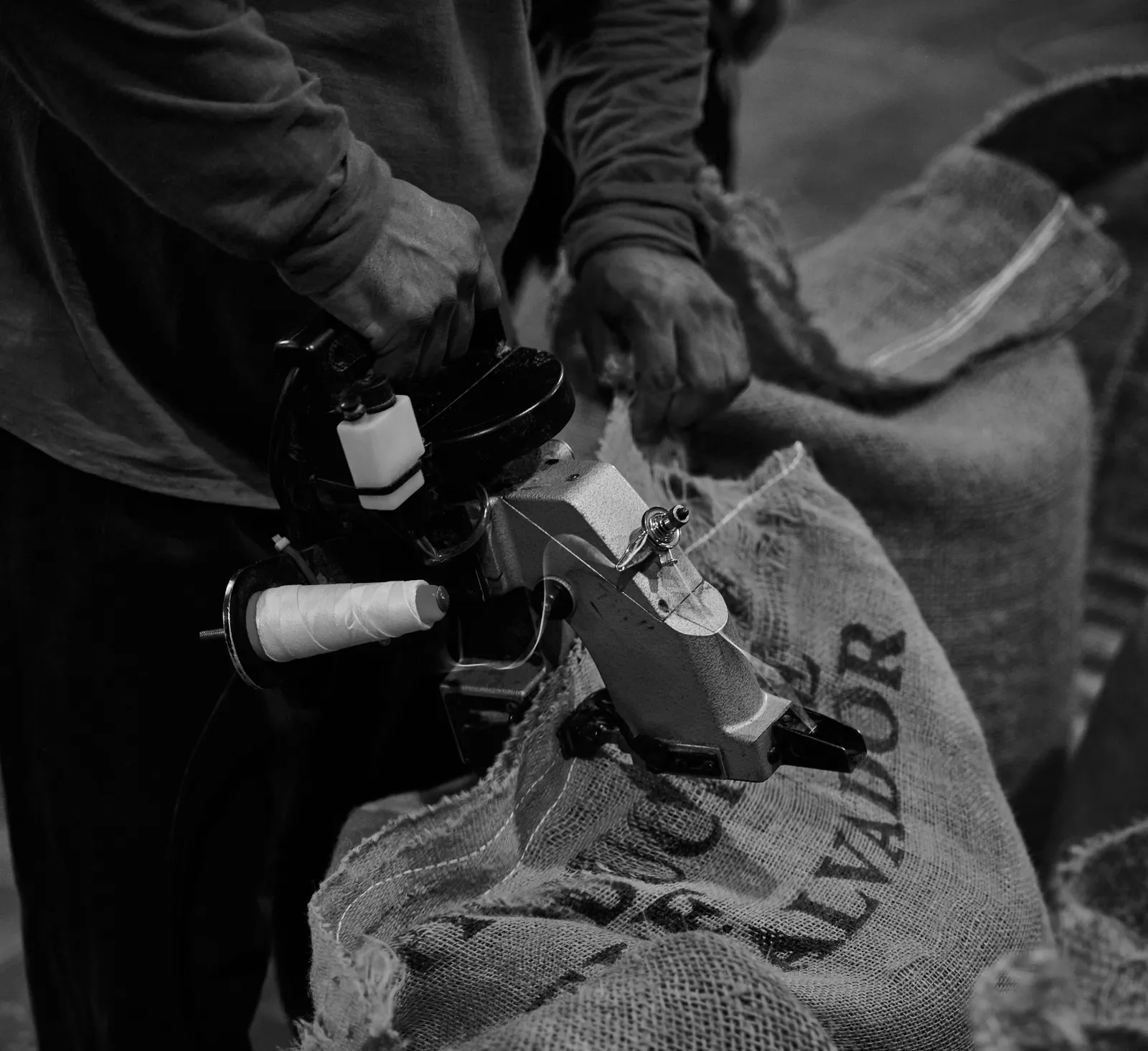 Coffee Republic — From Seed to Cup — frame 9