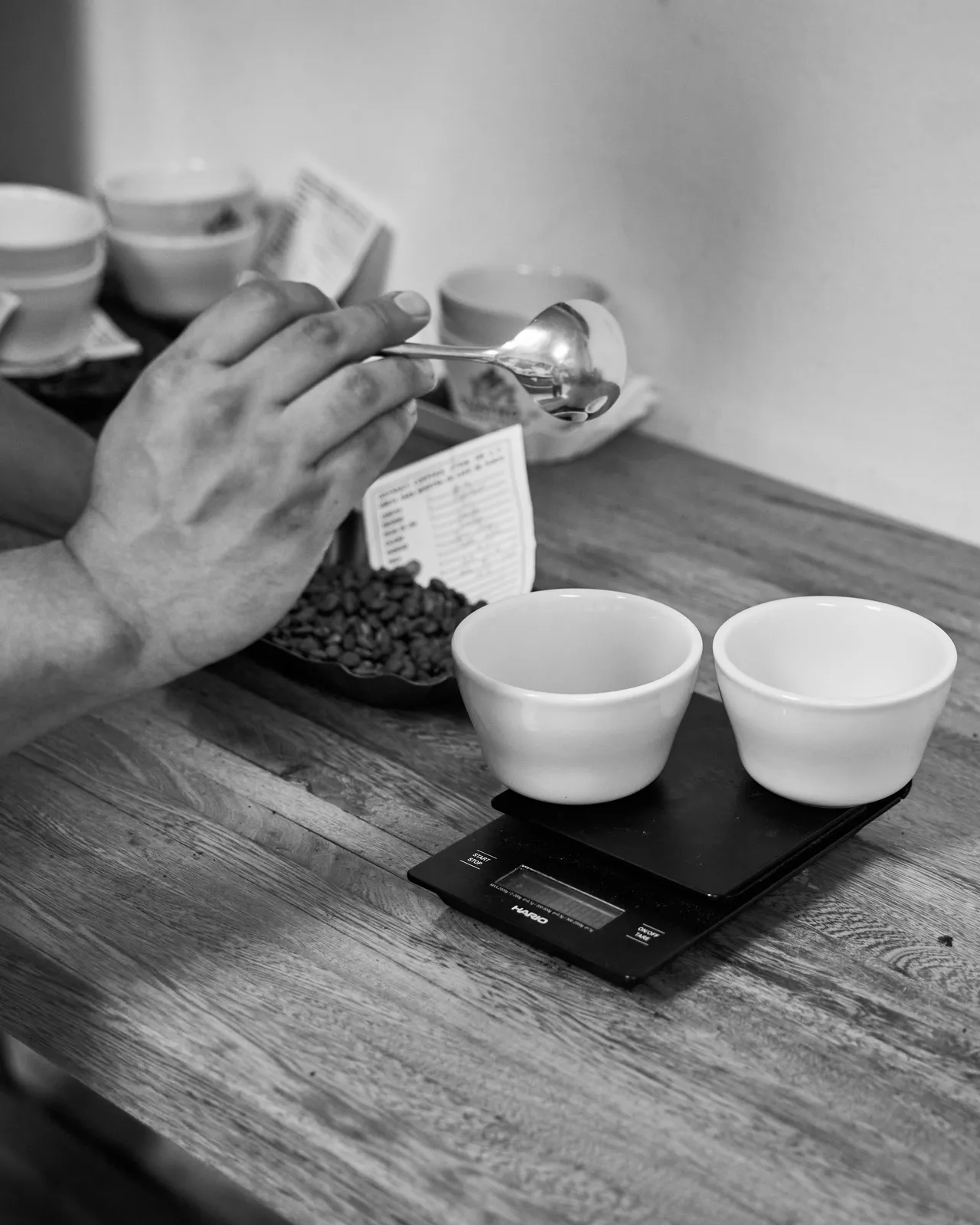 Coffee Republic — From Seed to Cup — frame 24