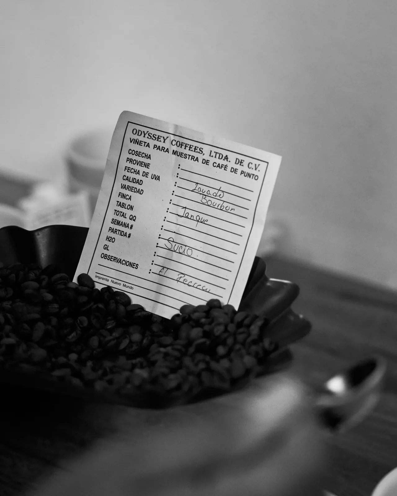 Coffee Republic — From Seed to Cup — frame 25