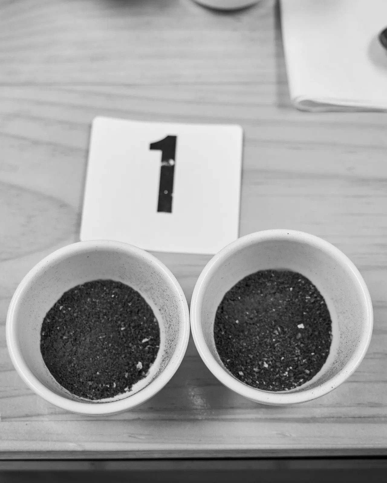 Coffee Republic — From Seed to Cup — frame 26