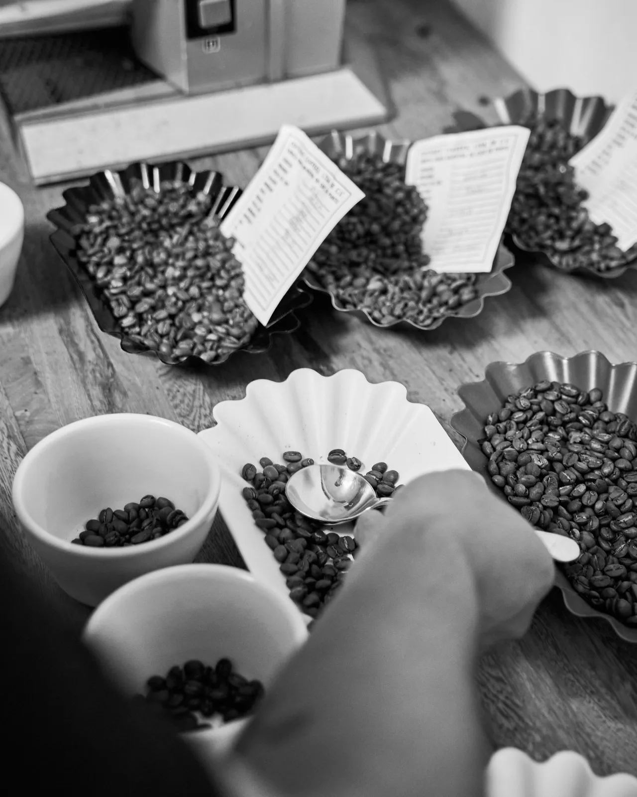 Coffee Republic — From Seed to Cup — frame 28