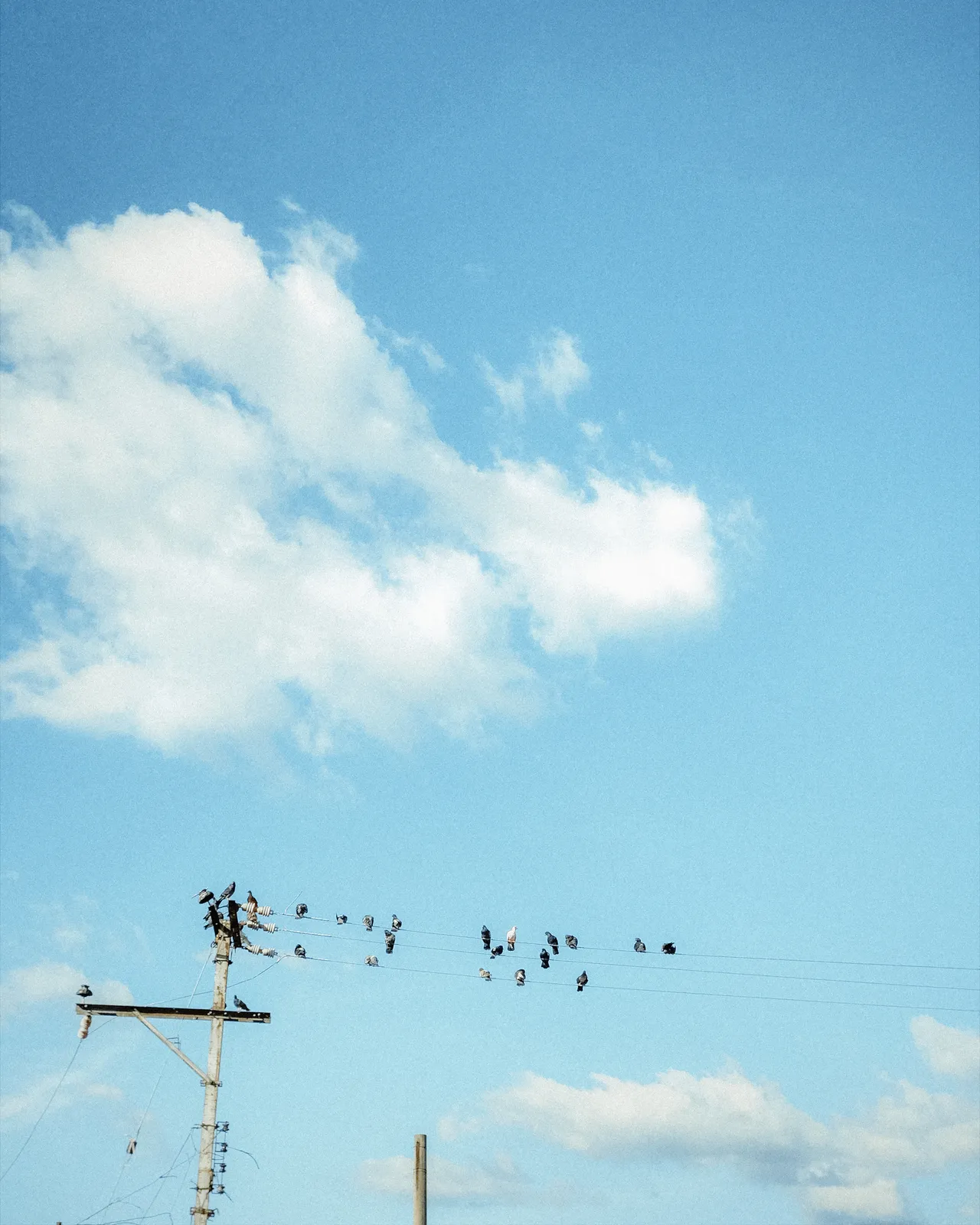 El Salvador — frame 17