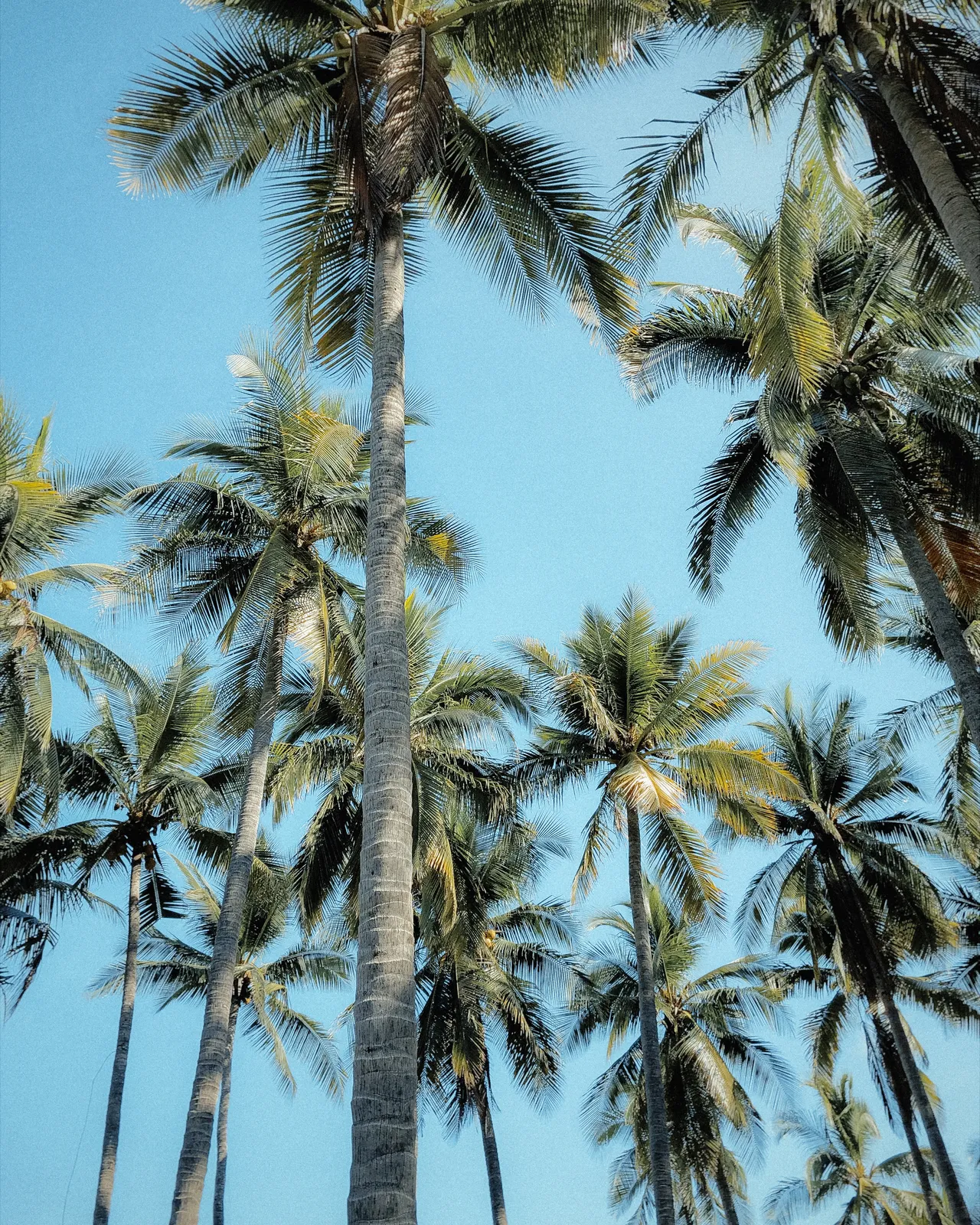 El Salvador — frame 18