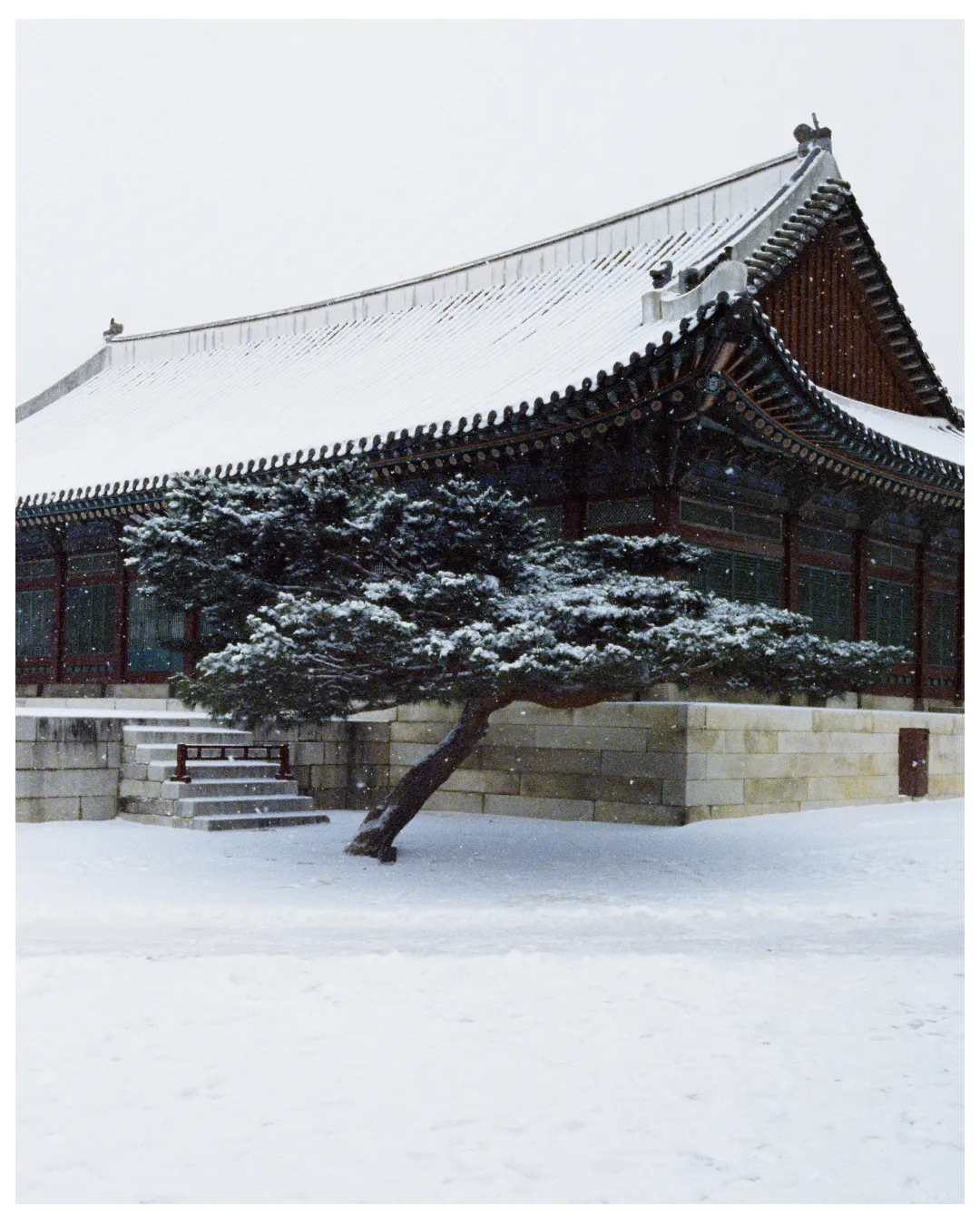 Seoul | South Korea — frame 101