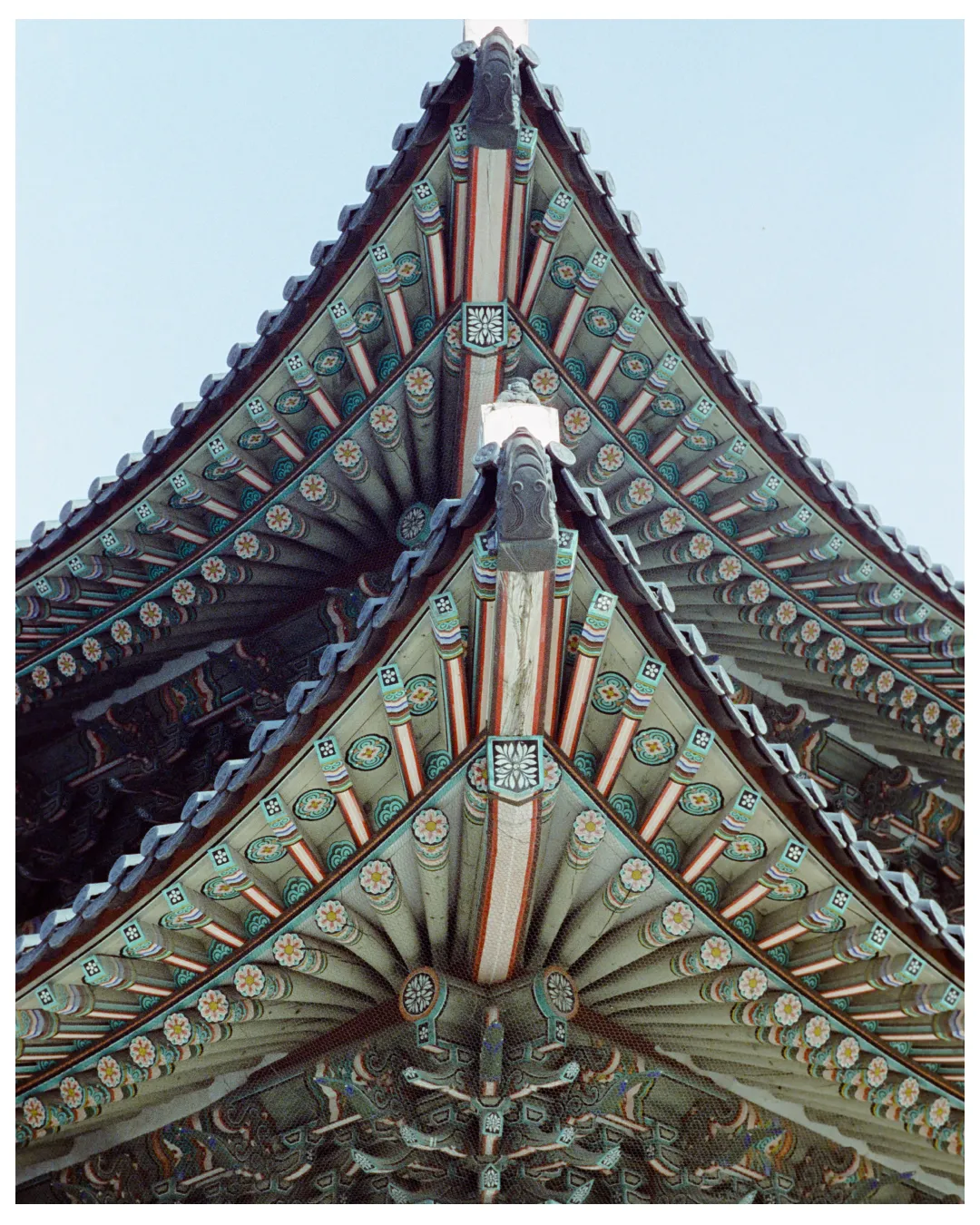 Seoul | South Korea — frame 72