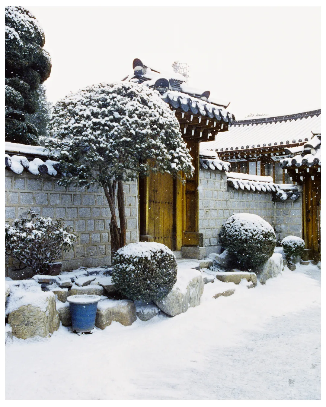 Seoul | South Korea — frame 89