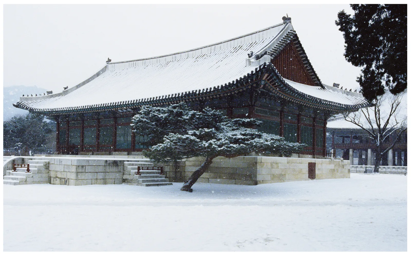 Seoul | South Korea — frame 98