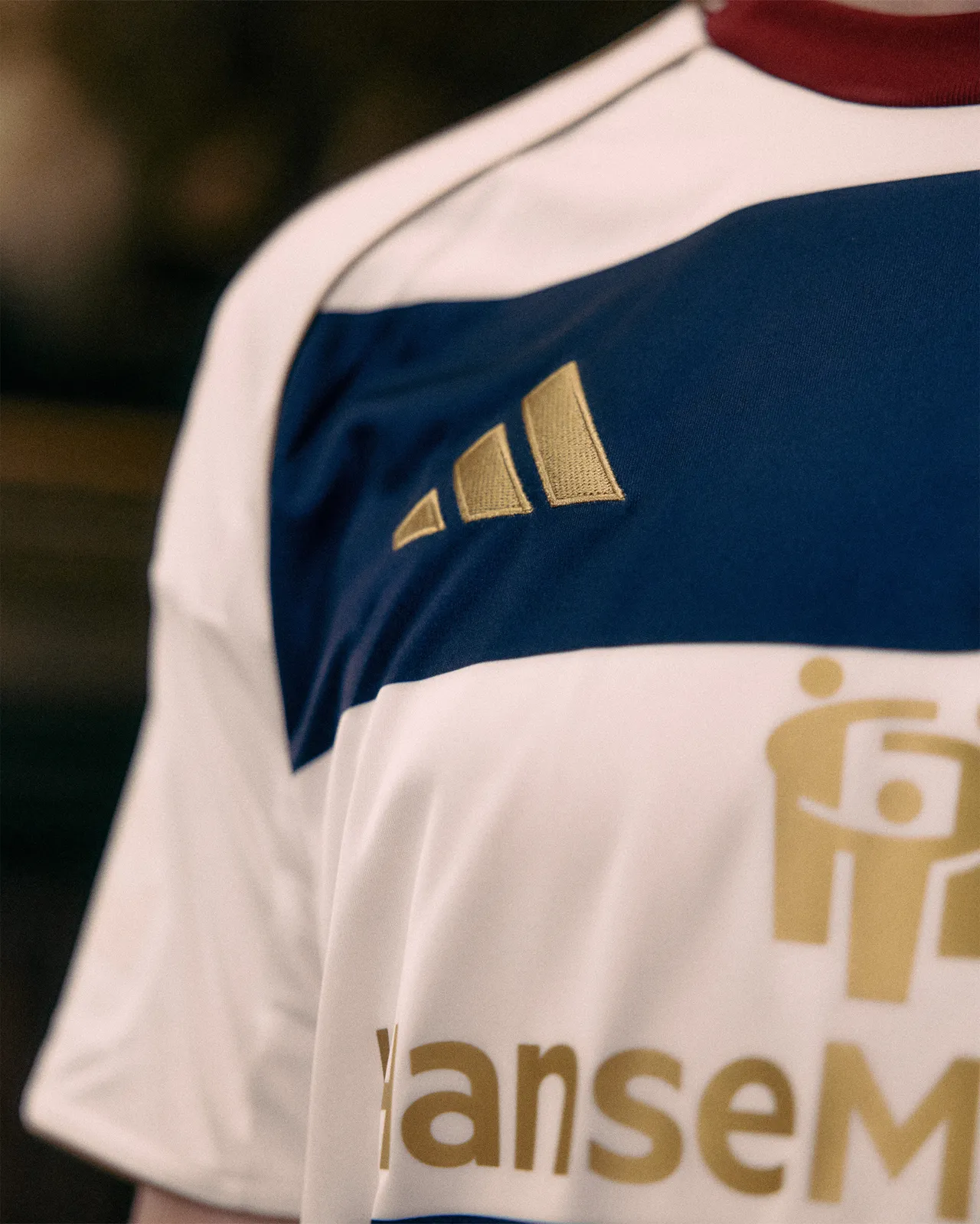HSV Sondertrikot — frame 20