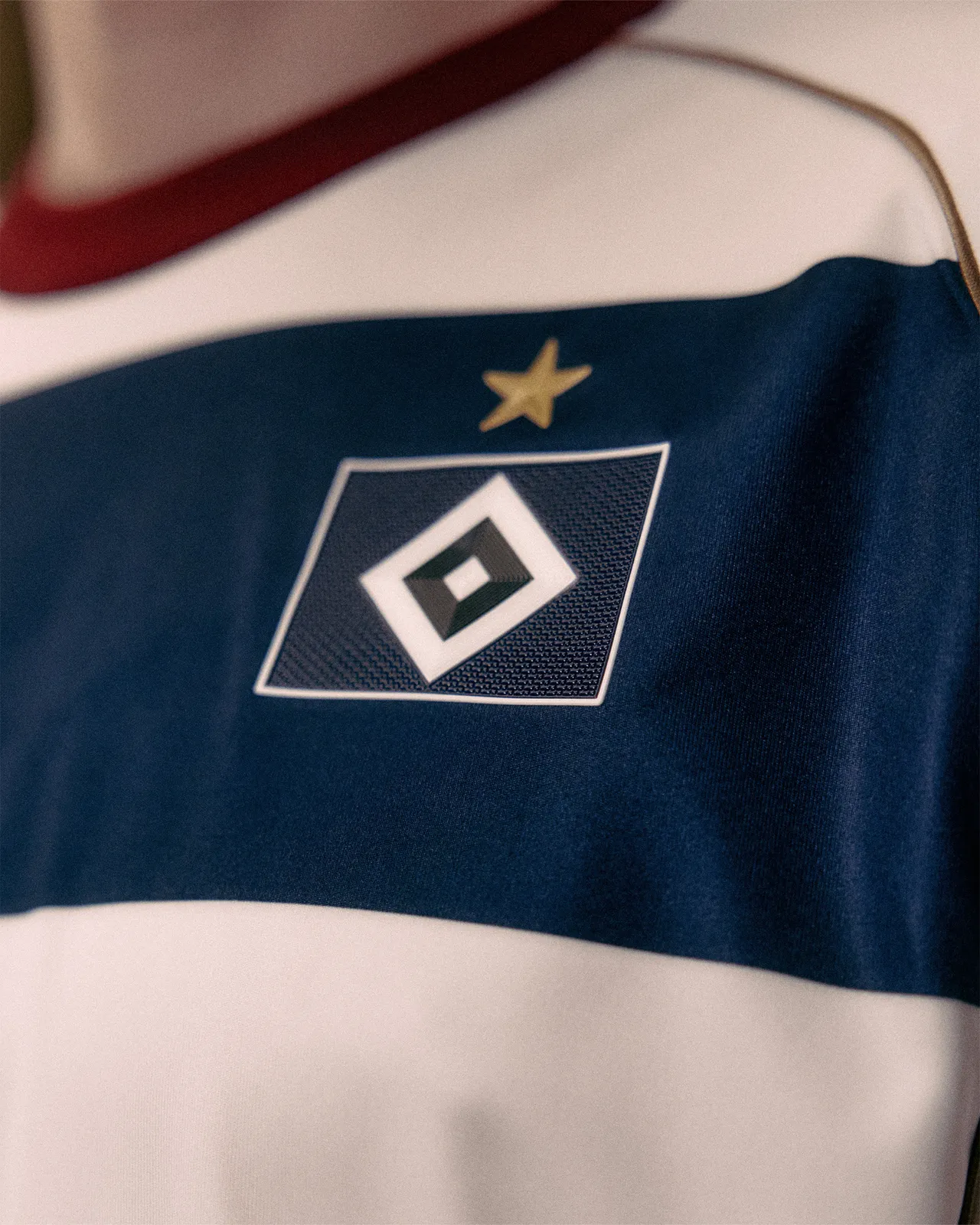 HSV Sondertrikot — frame 21